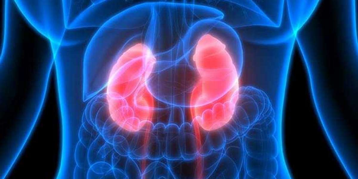 Kidney Cancer Types, Risk Factors, And Diagnosis