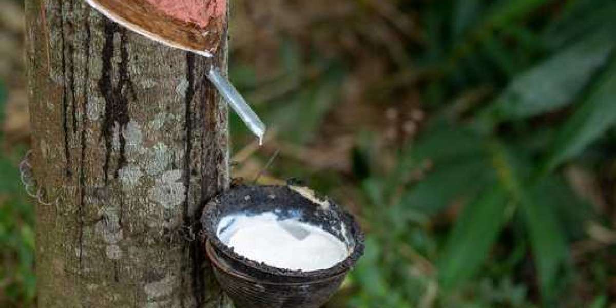 Natural Rubber Market Outlook 2022 | Research Report Forecasted Till 2028