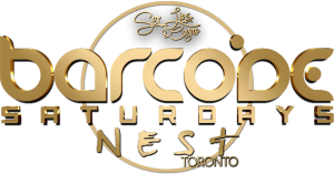 Bachelorette Party Ideas in Downtown Toronto | Barcode Saturdays