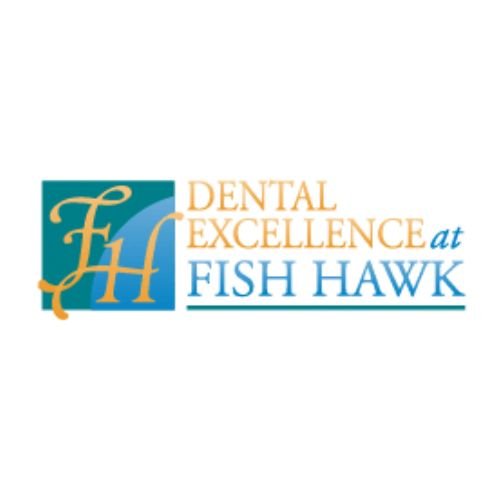 Dental Excellence At FishHawk